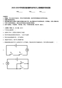 2023-2024学年四川省成都市金牛区九上物理期末检测试题含答案