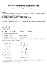 2023-2024学年四川省成都市高新南区物理九上期末联考试题含答案