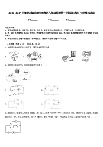 2023-2024学年四川省成都市郫都区九年级物理第一学期期末复习检测模拟试题含答案