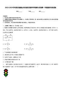 2023-2024学年四川省眉山市东坡区苏辙中学物理九年级第一学期期末检测试题含答案