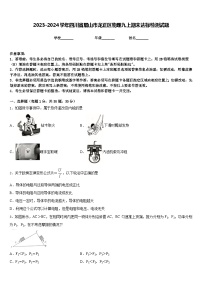 2023-2024学年四川省眉山市龙正区物理九上期末达标检测试题含答案