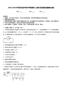 2023-2024学年四川省泸州市泸县物理九上期末质量跟踪监视模拟试题含答案