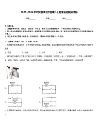 2023-2024学年安徽淮北市物理九上期末监测模拟试题含答案