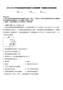 2023-2024学年安徽省亳州市谯城区九年级物理第一学期期末达标检测试题含答案