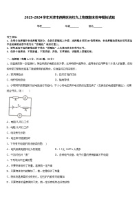 2023-2024学年天津市西青区名校九上物理期末统考模拟试题含答案