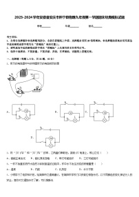 2023-2024学年安徽省安庆市怀宁县物理九年级第一学期期末经典模拟试题含答案