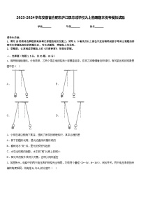 2023-2024学年安徽省合肥市庐江县志成学校九上物理期末统考模拟试题含答案