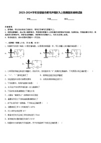 2023-2024学年安徽省合肥市庐阳区九上物理期末调研试题含答案