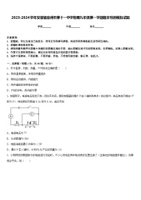 2023-2024学年安徽省宿州市第十一中学物理九年级第一学期期末检测模拟试题含答案