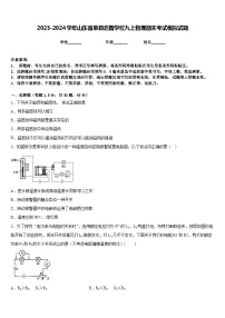 2023-2024学年山东省单县启智学校九上物理期末考试模拟试题含答案