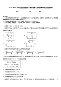 2023-2024学年山东省东营市广饶县物理九上期末教学质量检测试题含答案