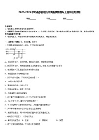 2023-2024学年山东省临沂市莒南县物理九上期末经典试题含答案