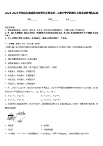 2023-2024学年山东省威海市文登区文登实验，三里河中学物理九上期末调研模拟试题含答案