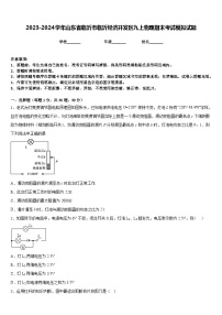 2023-2024学年山东省临沂市临沂经济开发区九上物理期末考试模拟试题含答案