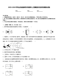 2023-2024学年山东省德州市武城县九上物理期末质量检测模拟试题含答案