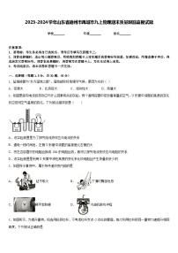 2023-2024学年山东省德州市禹城市九上物理期末质量跟踪监视试题含答案