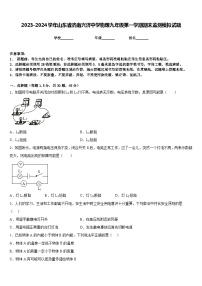 2023-2024学年山东省济南兴济中学物理九年级第一学期期末监测模拟试题含答案