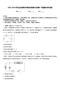 2023-2024学年山东省泰安市肥城市物理九年级第一学期期末统考试题含答案