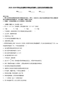 2023-2024学年山东省泰安市泰山区物理九上期末达标检测模拟试题含答案