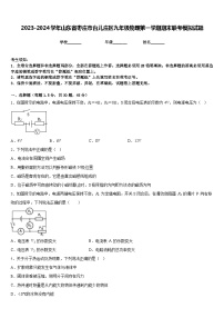 2023-2024学年山东省枣庄市台儿庄区九年级物理第一学期期末联考模拟试题含答案