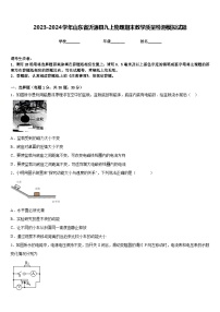 2023-2024学年山东省沂源县九上物理期末教学质量检测模拟试题含答案