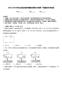 2023-2024学年山东省济南市槐荫区物理九年级第一学期期末统考试题含答案