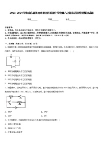 2023-2024学年山东省济南市莱芜区陈毅中学物理九上期末达标检测模拟试题含答案