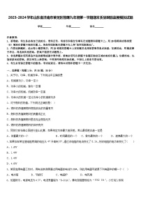 2023-2024学年山东省济南市莱芜区物理九年级第一学期期末质量跟踪监视模拟试题含答案