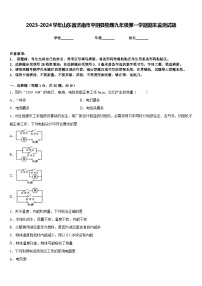 2023-2024学年山东省济南市平阴县物理九年级第一学期期末监测试题含答案