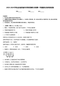 2023-2024学年山东省济南市天桥区物理九年级第一学期期末达标检测试题含答案