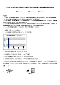 2023-2024学年山东省潍坊市寒亭区物理九年级第一学期期末经典模拟试题含答案