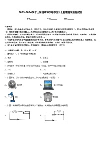 2023-2024学年山东省潍坊市寒亭区九上物理期末监测试题含答案