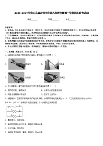 2023-2024学年山东省菏泽市曹县九年级物理第一学期期末联考试题含答案