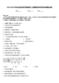 2023-2024学年山东省菏泽市郓城县九上物理期末教学质量检测模拟试题含答案