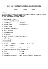 2023-2024学年山东省聊城市莘县物理九上期末教学质量检测试题含答案