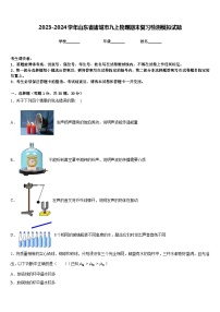 2023-2024学年山东省诸城市九上物理期末复习检测模拟试题含答案