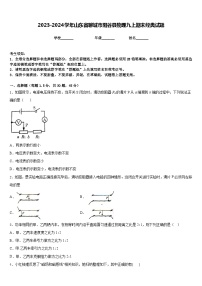 2023-2024学年山东省聊城市阳谷县物理九上期末经典试题含答案