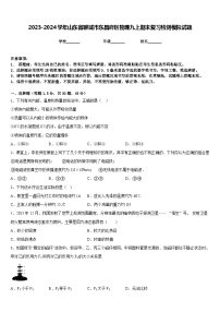 2023-2024学年山东省聊城市东昌府区物理九上期末复习检测模拟试题含答案