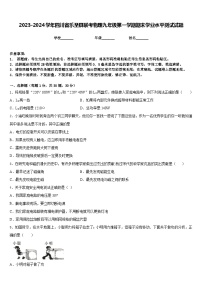 2023-2024学年四川省乐至县联考物理九年级第一学期期末学业水平测试试题含答案