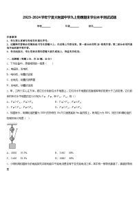 2023-2024学年宁夏大附属中学九上物理期末学业水平测试试题含答案