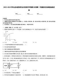 2023-2024学年山东省青州市吴井初级中学物理九年级第一学期期末质量跟踪监视试题含答案