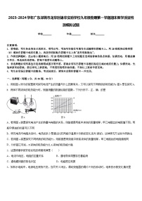 2023-2024学年广东深圳市龙华区锦华实验学校九年级物理第一学期期末教学质量检测模拟试题含答案