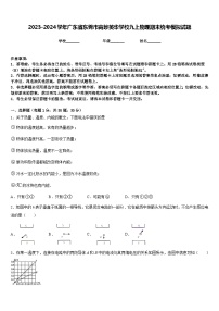 2023-2024学年广东省东莞市高埗英华学校九上物理期末统考模拟试题含答案