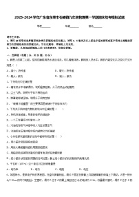 2023-2024学年广东省东莞市石碣镇九年级物理第一学期期末统考模拟试题含答案