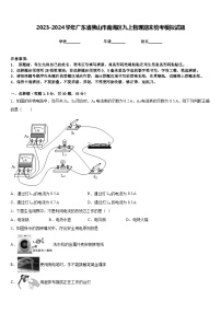 2023-2024学年广东省佛山市南海区九上物理期末统考模拟试题含答案