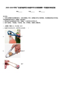 2023-2024学年广东省华南师范大附属中学九年级物理第一学期期末预测试题含答案