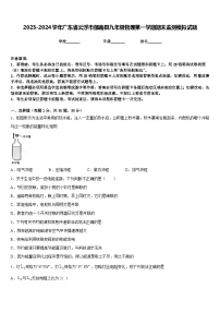 2023-2024学年广东省云浮市郁南县九年级物理第一学期期末监测模拟试题含答案