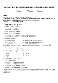 2023-2024学年广东省市深圳市龙岗区南湾学校九年级物理第一学期期末预测试题含答案