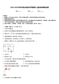 2023-2024学年平顶山市重点中学物理九上期末联考模拟试题含答案