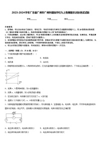 2023-2024学年广东省广州市广州外国语学校九上物理期末达标测试试题含答案